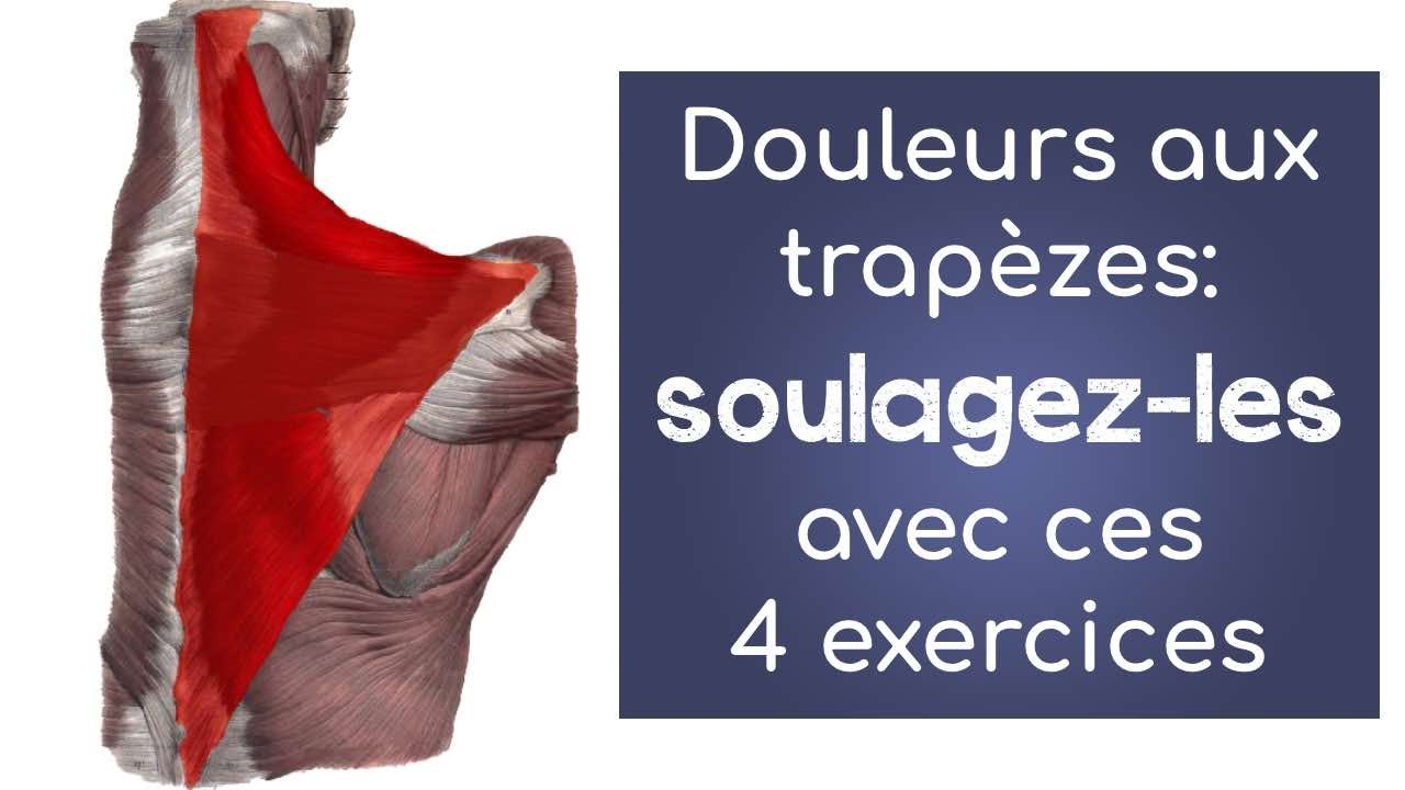 Douleurs Aux Trap Zes Soulagez Les Avec Ces Exercices Des Conseils