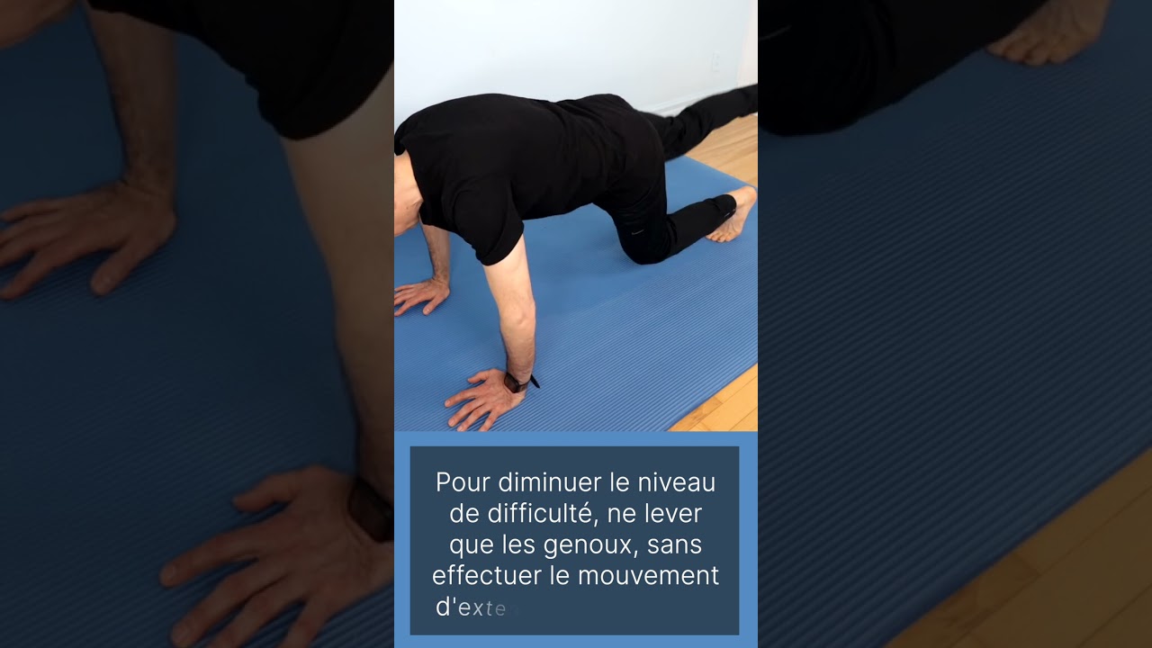 GAINAGE Pour TOUS Exercice Essentiel Pour Les Muscles Du Tronc