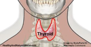 Un Tonique facile et efficace pour les troubles de la thyroïde