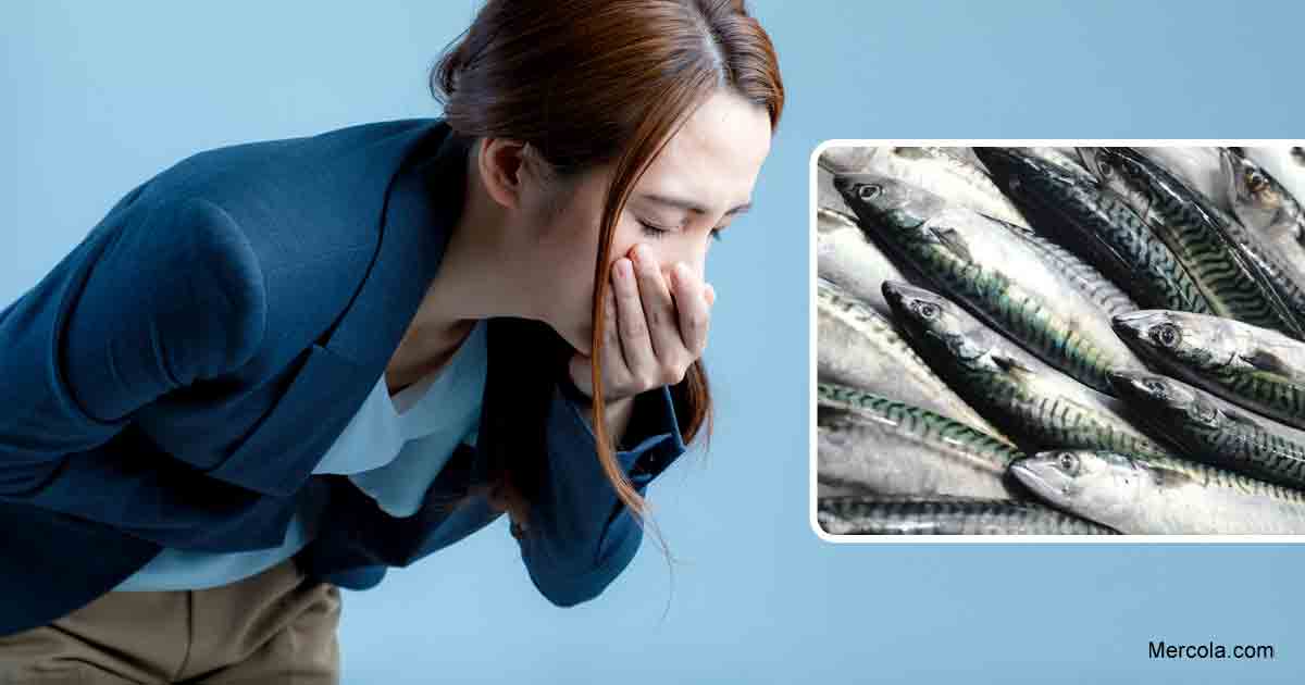 Qu'est-ce que l'intoxication scombroïde?