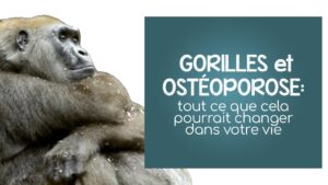 Pourquoi les gorilles ne sont pas touchés par l’ostéoporose?