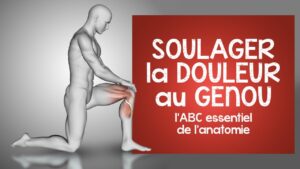 Soulager la douleur au genou: l' ABC essentiel de l'anatomie