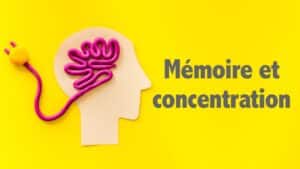 Mémoire et concentration: conseils pour stimuler ses fonctions cognitives