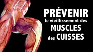 Prévenir les effets du vieillissement sur les cuisses (muscles)