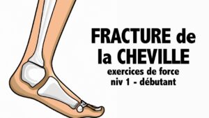 Fracture de la cheville: des exercices de force (niv 1- débutant)