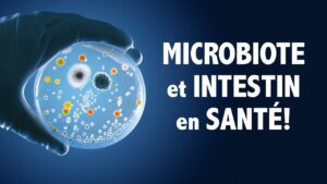 MICROBIOTE et intestin en SANTÉ: les conseils d'une experte!