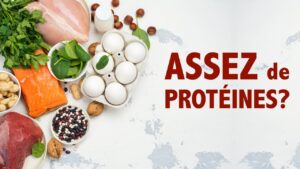Assez de protéines? Une alimentation équilibrée en contient-elle suffisamment?