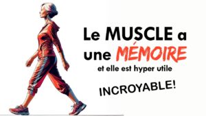 Oui, le MUSCLE a une MÉMOIRE: et voici pourquoi c'est utile!