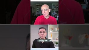 Tes poumons : les négliges-tu ? Découvre comment mieux les chérir !